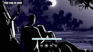 Tere Ishq Ka Rang Slowed And Reverb Romantic Songs Hindi Song 1M Hindi Song 1M 1080p h264 youtub [upl. by Ateloiv987]