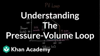 Understanding PreLOAD AfterLOAD END SYSTOLIC Volume and END DIASTOLIC Volume [upl. by Enaenaj]