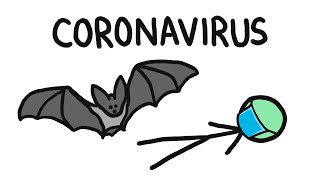 Why Do Bats Carry So Many Diseases like Coronavirus [upl. by Dnomasor164]