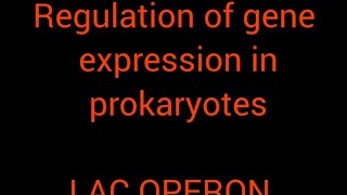 Regulation of gene expression in prokaryotes LAC OPERON [upl. by Htiffirg104]