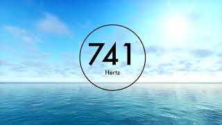 741 Hz Frequency Music  Self  Confidence  Release Anger  Remove Toxins amp Negativity  Mz Hertz [upl. by Burger547]