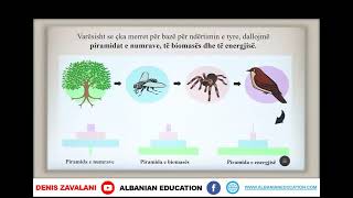 6 06 026 Java e trembëdhjetë Biologji qarkullimi i energjisë në ekosistem [upl. by Yael]