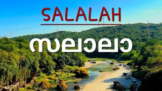 Trip to Salalah Malayalam vlog I Oman Episode 1 of 3 [upl. by Lamphere854]