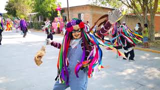 Huehuetlán el Chico Pue Día de la Santa Cruz Danza de los Tecuanes 3 de Mayo de 2019 [upl. by Luciano]