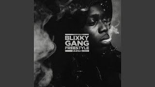 Blixky Gang Freestyle [upl. by Anyotal]