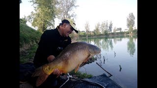 Test Estremo Atrax Feeder con big carpa [upl. by Anelec685]