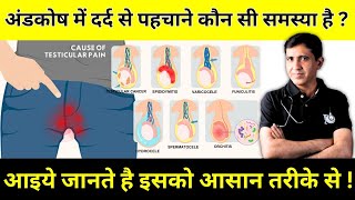 Testicular Pain  अंडकोष में दर्द की समस्या को कैसे पहचाने   By Dr Ramdeo Lamoria [upl. by Leviralc]