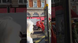 Covent Garden Buggy scammers [upl. by Cohlette]