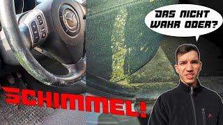 Ich brech ab Nicht das noch  Mazda 3  3  Schimmel im Innenraum überall Schimmelbeseitigung [upl. by Ever]