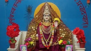 Gayatri Jayanti 2023 deep yagyaShaktipeeth majhola Up live [upl. by Maxey]