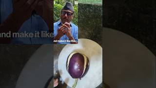 Jackie Shroff Style Baigan Ka Bharta  Smoky amp Flavorful Eggplant Recipe  Swaad Ki Duniya [upl. by Boorer986]