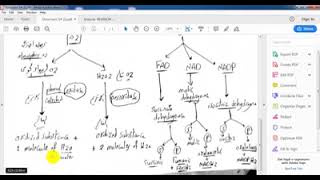 Oxidoreductase enzymes  but sorry for the bad quality [upl. by Amsab]