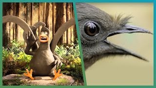 Lyrebird Meets Attenborough ft Aardman Animations Attenborough90  BBC Earth Unplugged [upl. by Dessma]