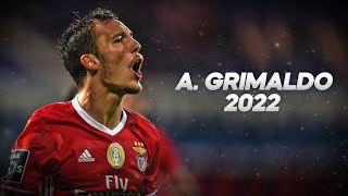 Alejandro Grimaldo  Technical Wingback  2022ᴴᴰ [upl. by Radack]