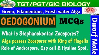 Set02 MCQs OEDOGONIUM BASED ON Thallus and Morphology [upl. by Nihsfa]