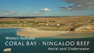 Coral Bay  Ningaloo Reef Western Australia  4K Ultra HD [upl. by Uni232]