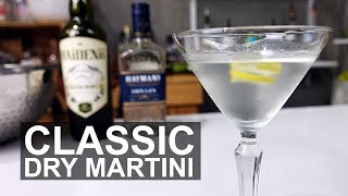 Classic Dry Gin Martini Cocktail Recipe [upl. by Komsa333]