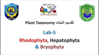 Section 5 Plant Taxonomy  Rhodophyta Hepatophyta amp Bryophyta [upl. by Oilenroc489]