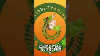 【血糖 控制】紫番薯：低GI與膳食纖維的血糖 控制和血糖 穩定的雙重優勢，有效控制 血糖的波動12 [upl. by Willock]