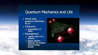 Jack Tuszynski Quantum Biology LABMP 590 2013 Feb 26 [upl. by Letney257]