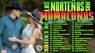 Las Norteñas Más Mamalonas Del 2023 🌵 30 Norteñas Exitos 🌵 Cumbias Norteñas Mix 2023 1 [upl. by Hcelemile]