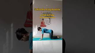 𝟱 𝗺𝗶𝗻 𝗺𝗼𝗿𝗻𝗶𝗻𝗴 𝘆𝗼𝗴𝗮🧘‍♀️🪷 yoga yogapractice morningyoga shortsfeed shorts youtube [upl. by Llekim50]