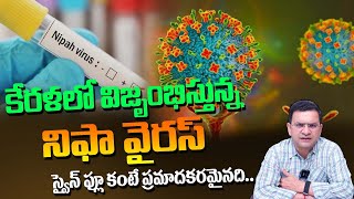 Dr Movva Srinivas  Is Nipah Virus Dangerous  Nipah Virus Symptoms Telugu  How to prevent It [upl. by Ahseal513]