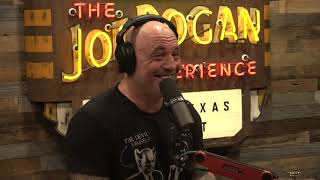 Joe Rogan Experience 1707  Kyle Dunnigan amp Kurt Metzger [upl. by Kevina]