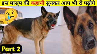 Dog sad story 😭 Part 2  shorts youtubeshorts [upl. by Enyalb68]