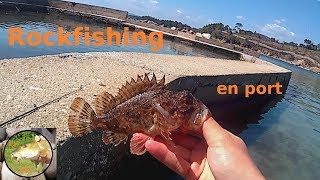 ROCKFISHING en port dans le Var Pêche des gros gobies et rascasses [upl. by Paget]