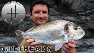 Open Coast Fishing for Gilthead Bream with Ben Conway [upl. by Yelrebmik]