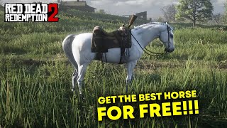 Red Dead Redemption 2 How To Get The Best Horse in the Game For FreeVery Easy  Full Guide [upl. by Philbo]