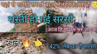 सरसों चाहिए तो यहां से ले जाओ 42 का बहुत बढ़िया है सरसोंSARSON KA QUALITY NUMBER 1 HAIसरसोoil [upl. by Anilesor959]