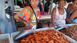 feira dá coab em Santarém 2parte [upl. by Kurr]