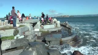 The Wave Organ at King Tide [upl. by Ynnelg]