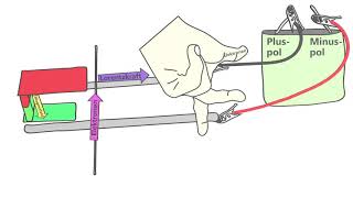 Erklärvideo zum Versuch Rollender Stab  Lorentzkraft  einfach und anschaulich erklärt [upl. by Anthia837]
