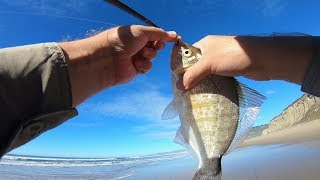 Surf Fishing Half Moon Bay [upl. by Neirda]