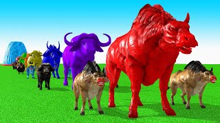 Paint Animals Cow CartoonBuffaloBullyakOxFountain Crossing Animal Game [upl. by Llehsad]