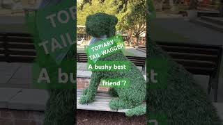 Topiary tail wagger a bushy best friend highlights arts shortvideo [upl. by Arin]