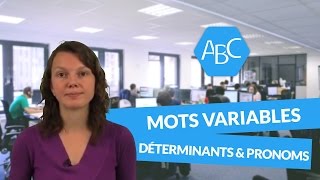 Cours de français 6ème catégorie de mots variables les déterminants et les pronoms [upl. by Hamel209]