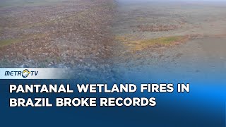 Pantanal Wetland Fires In Brazil Broke Records [upl. by Eessej]