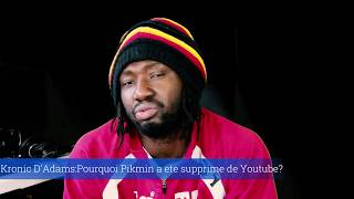 Kronic DAdams Pourquoi Youtube a enleve le Pikimin de Debordo [upl. by Tench]