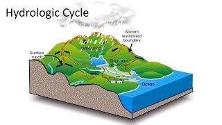 Hydrologic Cycle [upl. by Aissej56]