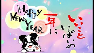 年賀状動画 HAPPY NEW YEAR 2025 年賀状グリーティング動画 ＃2025動く年賀状 Happy new year 2025 いいこといっぱいの一年に [upl. by Aihseuqram]