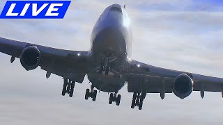 🔴LIVE CROSSWIND LANDINGS at CHICAGO OHARE  SIGHTS and SOUNDS of PURE AVIATION  ORD PLANESPOTTING [upl. by Nidnal640]