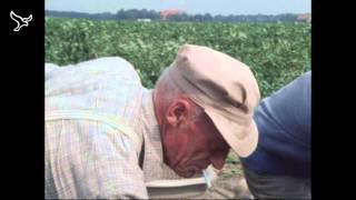 Pioniers de kolonisten van de Noordoostpolder van 19052013 [upl. by Ralyks]