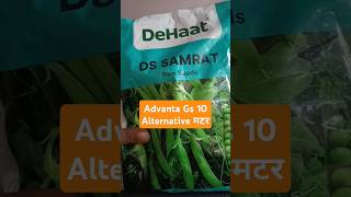 Advanta gs 10 alternative sabji matar [upl. by Doyle]