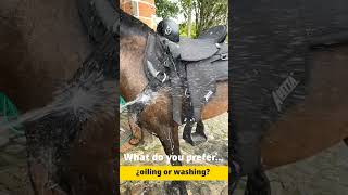 Washing an Abetta Saddle with water using a hose and splashing around [upl. by Scarlet183]