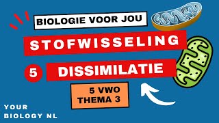 5 vwo  Stofwisseling  5  Dissimilatie [upl. by Harcourt]