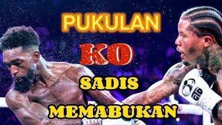 Martin Knockout  Pertarungan Sadis KO  Gervonta Davis vs Frank Martin [upl. by Adeys]